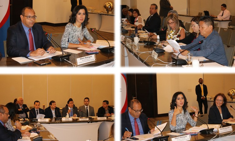 Consejo de la Concertación Nacional para el Desarrollo sostiene su segunda sesión plenaria del 2019