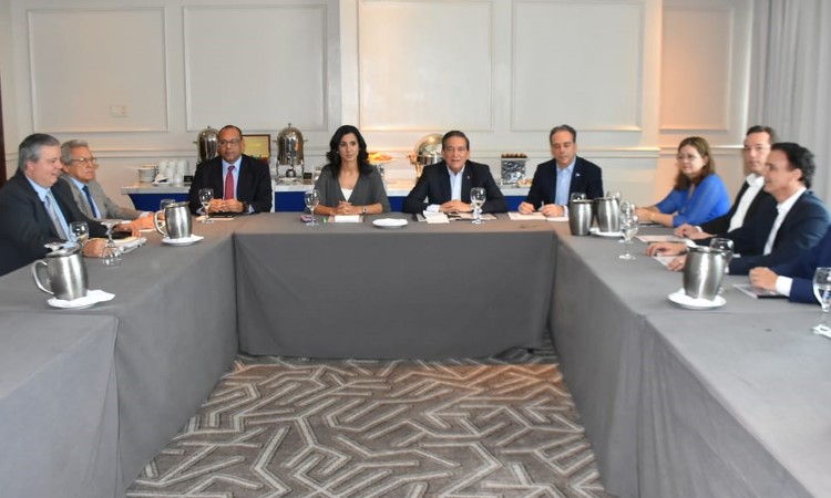 Presidente Electo y Presidenta del CCND se reúnen para conocer avances en propuestas de reformas constitucionales